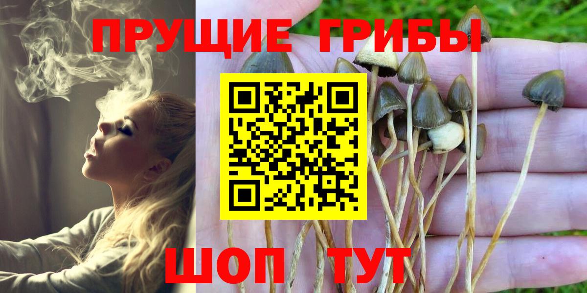 что такое   Вход с VPN  Семилуки  Галлюциногенные грибы MAGIC MUSHROOMS 